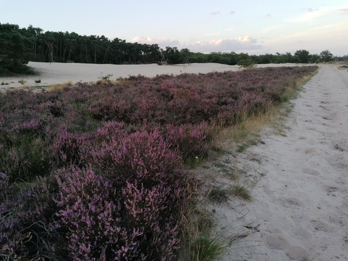 Vakantiehuis De Schaapskooi Drunen Esterno foto